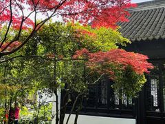 -上海醉白池公园