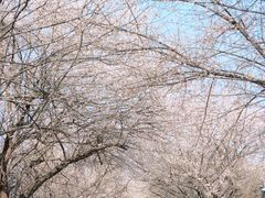 -国际非物质文化遗产博览园