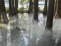 -东湖落雁景区
