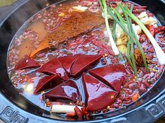 红锅-黄潇洒老火锅(九眼桥宏济巷店)