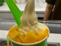 -Salud撒露欧洲冻酸奶(蓝色港湾店)