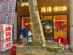 -阳阳老火锅(小南门店)