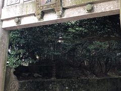 -普陀山风景区-佛顶山