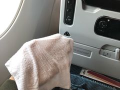 -新加坡航空公司(ION)