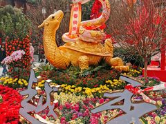 -越秀西湖花市(广州城市广场花卉店)