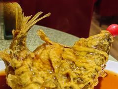 糖醋鲤鱼-春江饭店(共青团路总店)