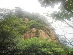 -六里坪国家森林公园