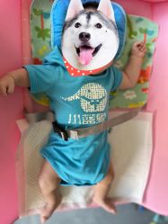 -小蓝象(五角场万达店)