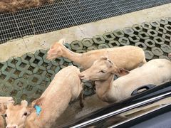 -南京金牛湖风景区