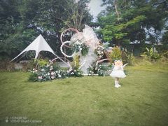 -芭厘农庄老字号·清远鸡