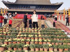 -大槐树寻根祭祖园