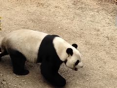 -青岛动物园