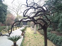 -包公祠