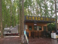 -黄海国家森林公园