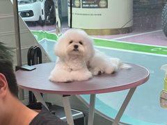 -FAELING PETS美天灵宠物(合生汇店)