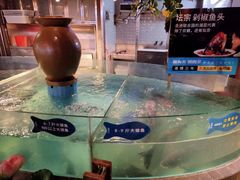 -坛宗剁椒鱼头(河西王府井店)