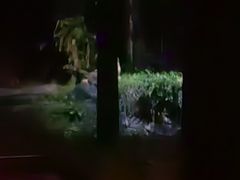 -夜间野生动物园