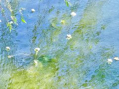 -海埂大坝