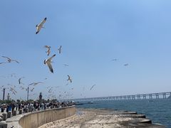-星海广场