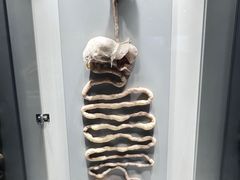-生命奥秘博物馆