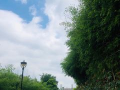 -竹子庵公园