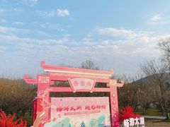 -香雪海