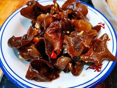 木耳-三里屯土灶炖公鸡地锅鸡(江东店)