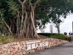 -深圳人才公园