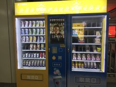 -闸弄口(地铁站)