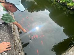 -宁波市保国寺古建筑博物馆