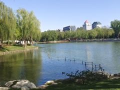 -大兴滨河森林公园