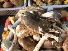 -七采菌园·野生菌石锅鱼(环城北路店)