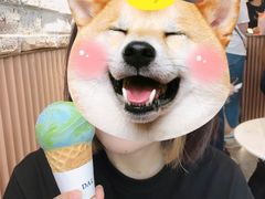 -Dal Cuore 达可芮冰淇淋(陕西北路店)