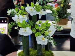 -广州市番禺中心医院(主院区)