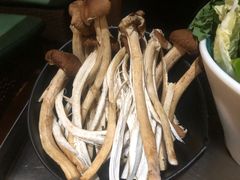 -探窝·竹笙椰子鸡(杨箕店)