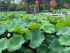 -丝绸小镇荻港古村