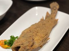 -老牌坊鲁菜名店(聊城美食岛店)