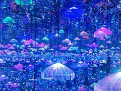 -深圳独角兽星空艺术馆