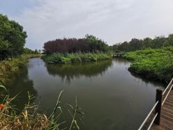 -水八仙生态园