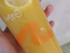 -CoCo都可(新沂吾悦店)