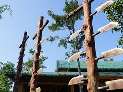 -海南槟榔谷黎苗文化旅游区