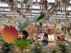 -南宫五洲植物乐园