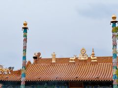 -大召无量寺