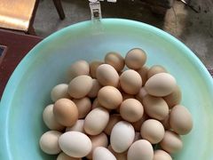 -马陆小张葡萄园农家乐