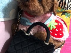 -CHANEL(恒隆广场店)