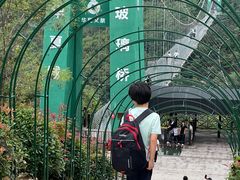 -威海华夏城景区