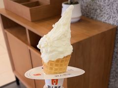 -野人先生Gelato(上海长宁龙之梦店)