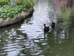 -南宁市动物园