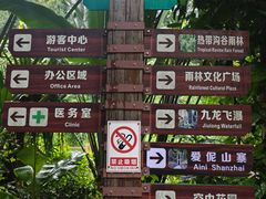 -西双版纳原始森林公园