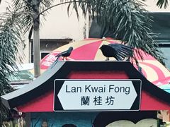 -兰桂坊